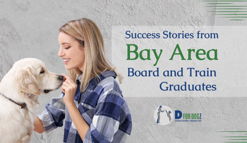 Success Stories from Bay Area