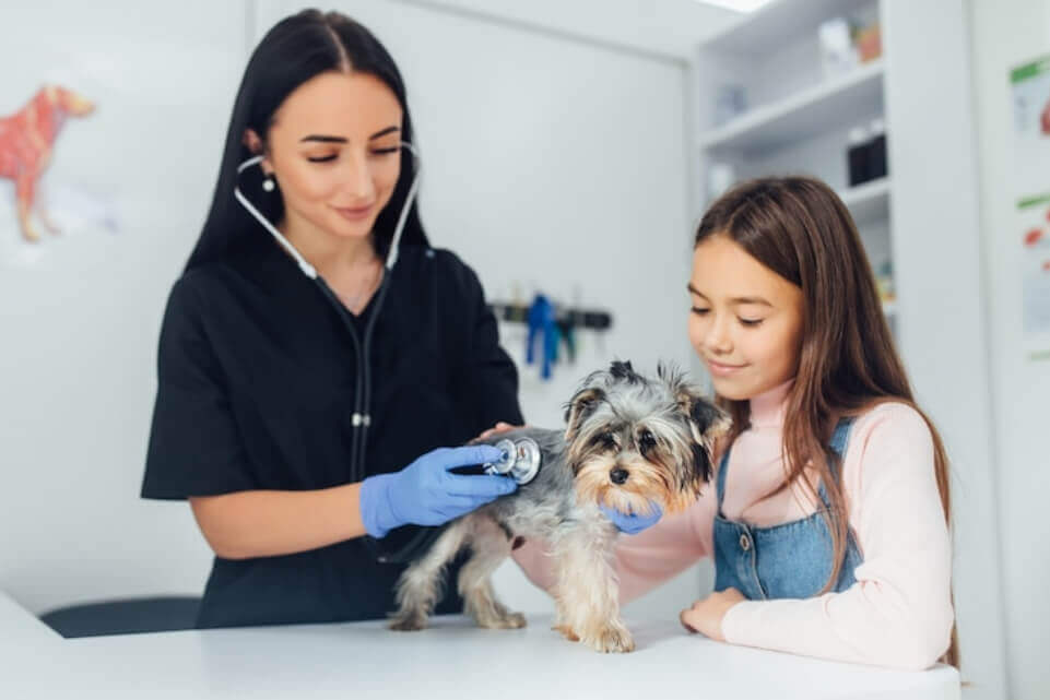 Young girl and a doctor checking a puppy