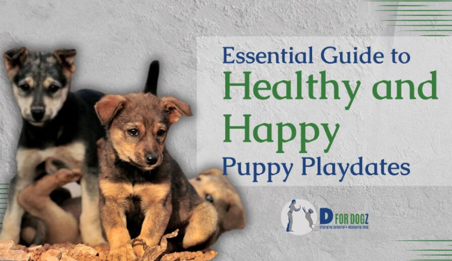 Essential guide to healthy and happy puppy
