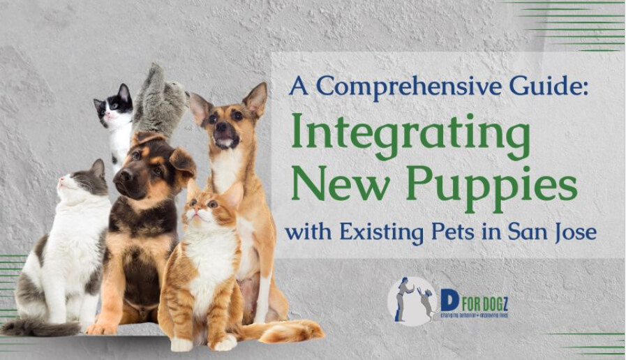 Integrating New Puppies with Existing Pets