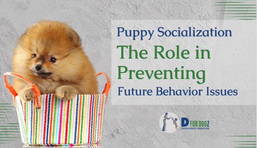 the role preventing future behavior