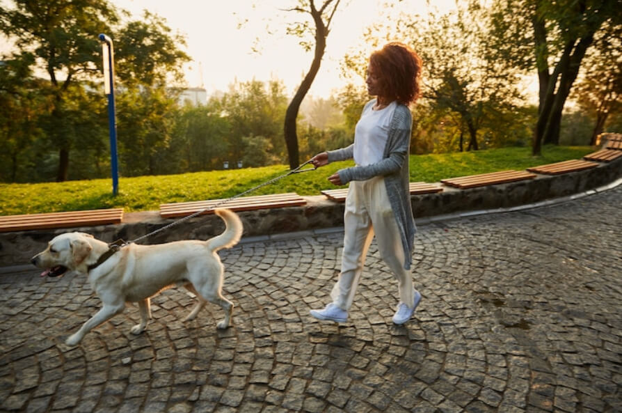 Young lady walking in the morning in park with dog 
