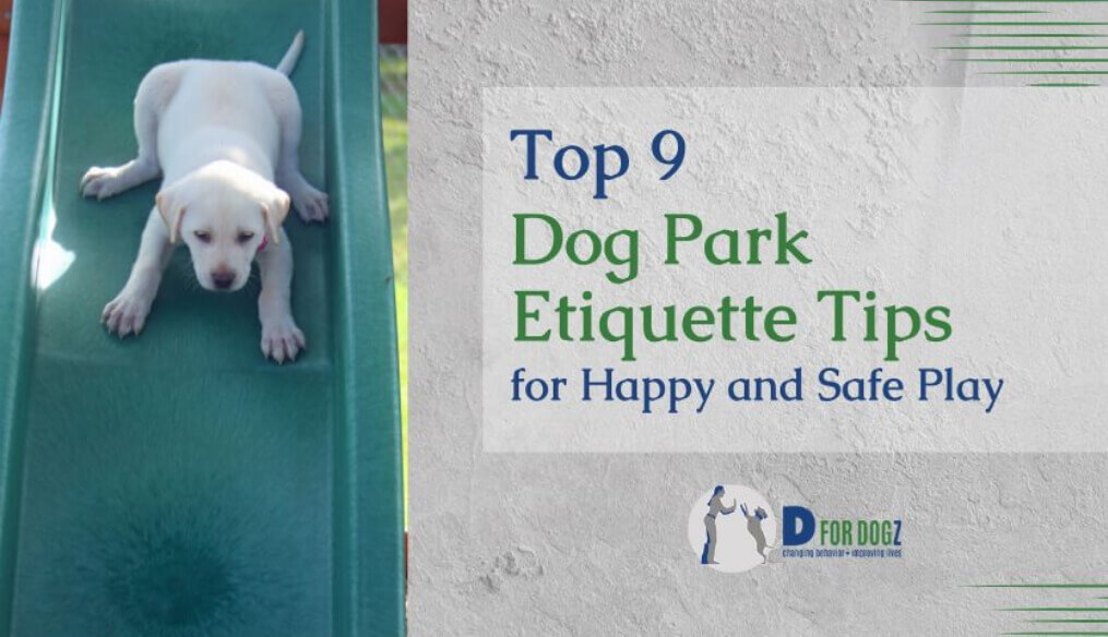 Dog park etiquette